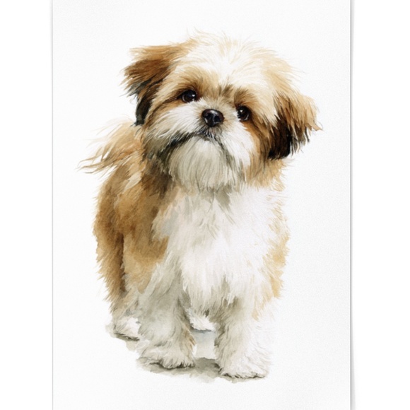 Watercolor Shih Tzu Dog Portrait Wall Art Print Poster Unframed - Pet Artwork - Picture 2 of 5